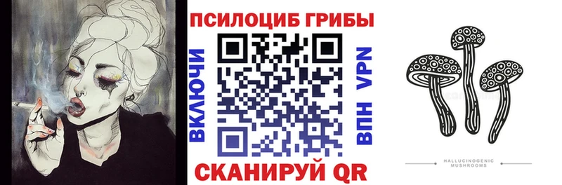 Псилоцибиновые грибы Psilocybe  купить наркоту  Ужур 